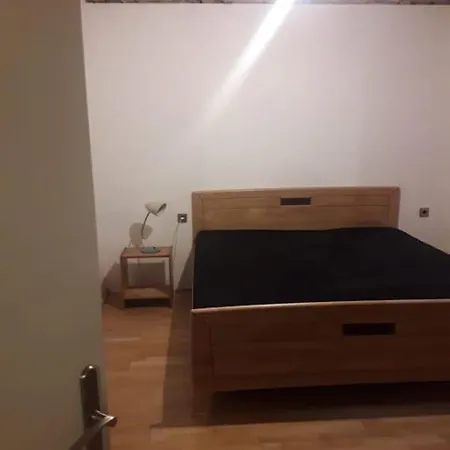 Apartment Central 2-room Souterrain Flat Brno